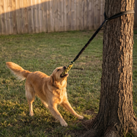 Impulse™ Bungee Tug